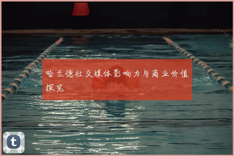 哈兰德社交媒体影响力与商业价值探究