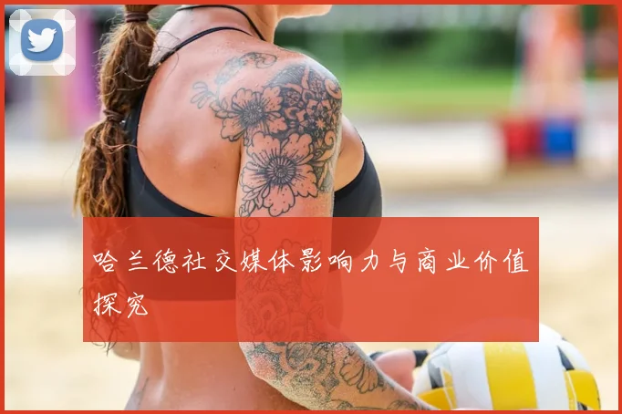 哈兰德社交媒体影响力与商业价值探究