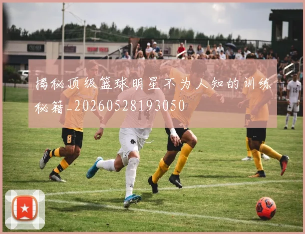 揭秘顶级篮球明星不为人知的训练秘籍_20260528193050