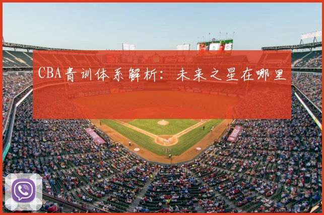CBA青训体系解析：未来之星在哪里